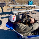 Review photo of Red Rock Canyon National Conservation Area - Red Rock Campground by Sarah S., January 12, 2021