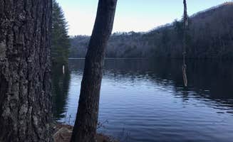 Alexandra's photo of a dispersed camping area at Lake Santeetlah Dispersed in North Carolina