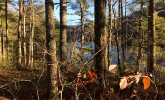 Camping near Harold Parrish Lower Camp - Backcountry: Lake Santeetlah Dispersed, Croatan National Forest, North Carolina