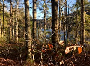 Lake Santeetlah Dispersed