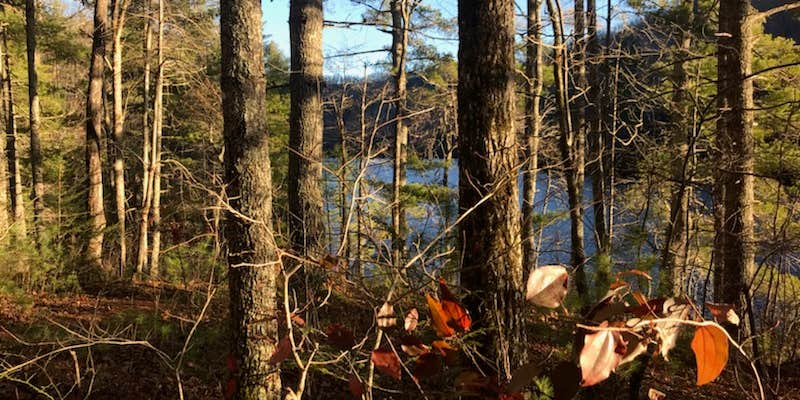 Camper submitted image from Lake Santeetlah Dispersed