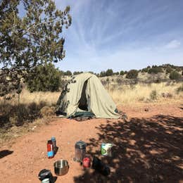 FR689 Dispersed Camping