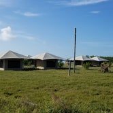 Review photo of Flamingo Campground — Everglades National Park by Portia H., January 12, 2021