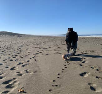 Camper-submitted photo from Bodega Dunes Campground — Sonoma Coast State Park