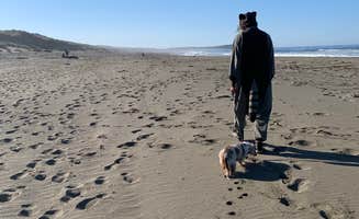 Ulalume E.'s photo of camping with pets at Bodega Dunes Campground — Sonoma Coast State Park near Santa Rosa, CA