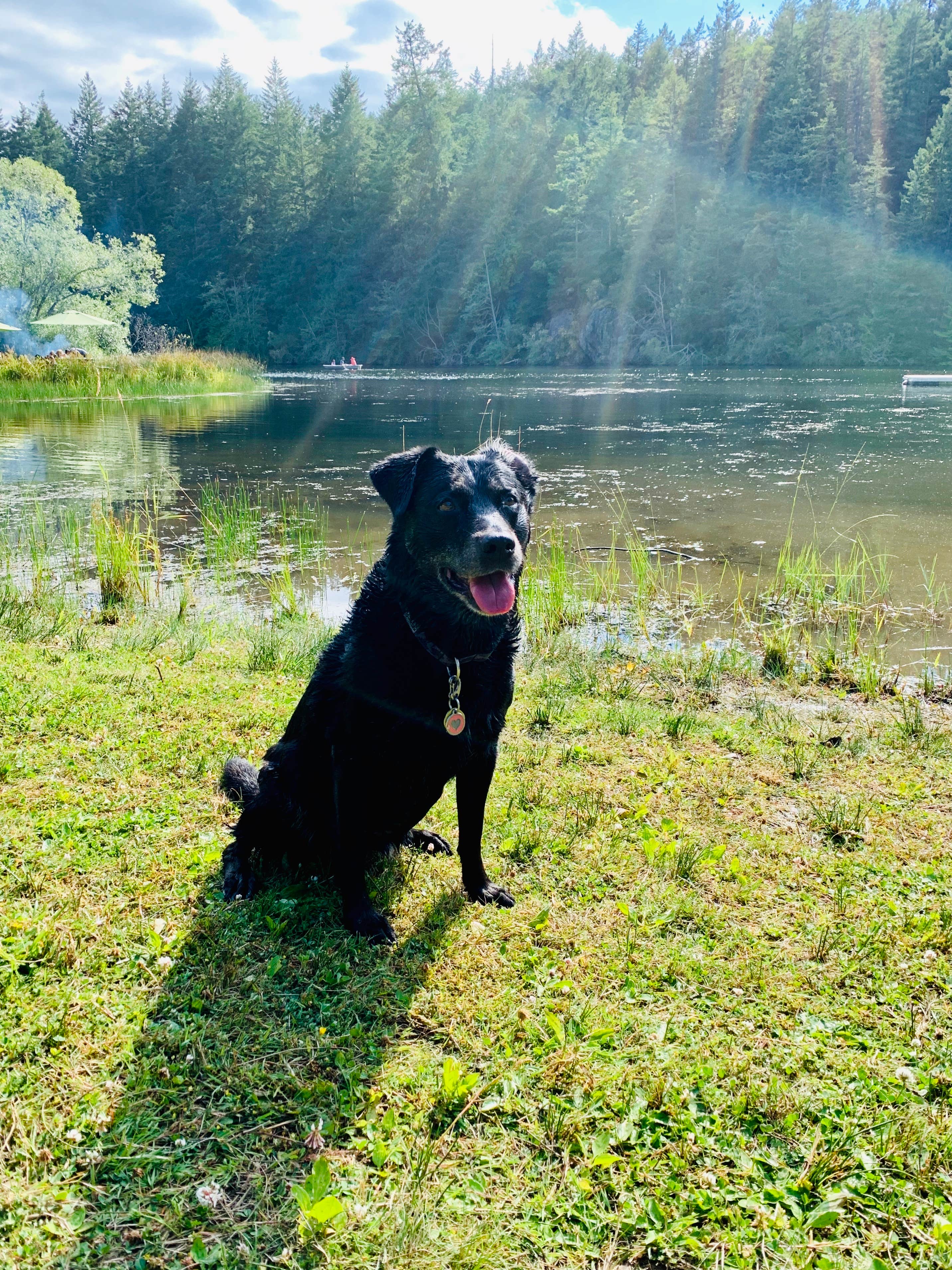 Camper-submitted photo at Lakedale Resort near Lopez Island, WA