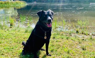 Russel's photo of camping with pets at Lakedale Resort near Lummi Island, WA
