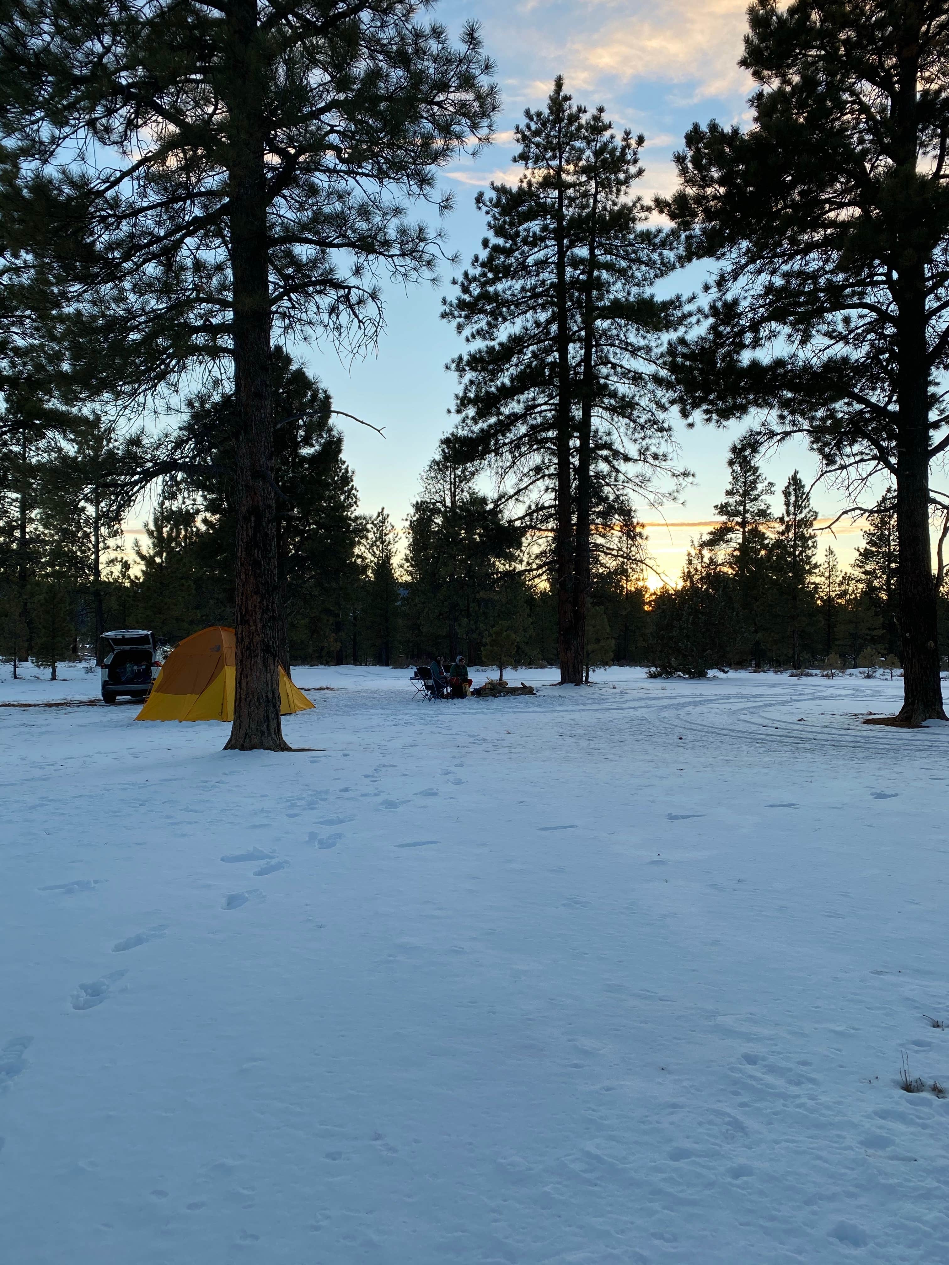 Camper-submitted photo at Tom Best Spring Road FR117 Dispersed - Dixie National Forest in Utah