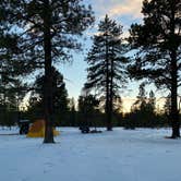 Review photo of Tom Best Spring Road FR117 Dispersed - Dixie National Forest by Bryan W., January 13, 2021