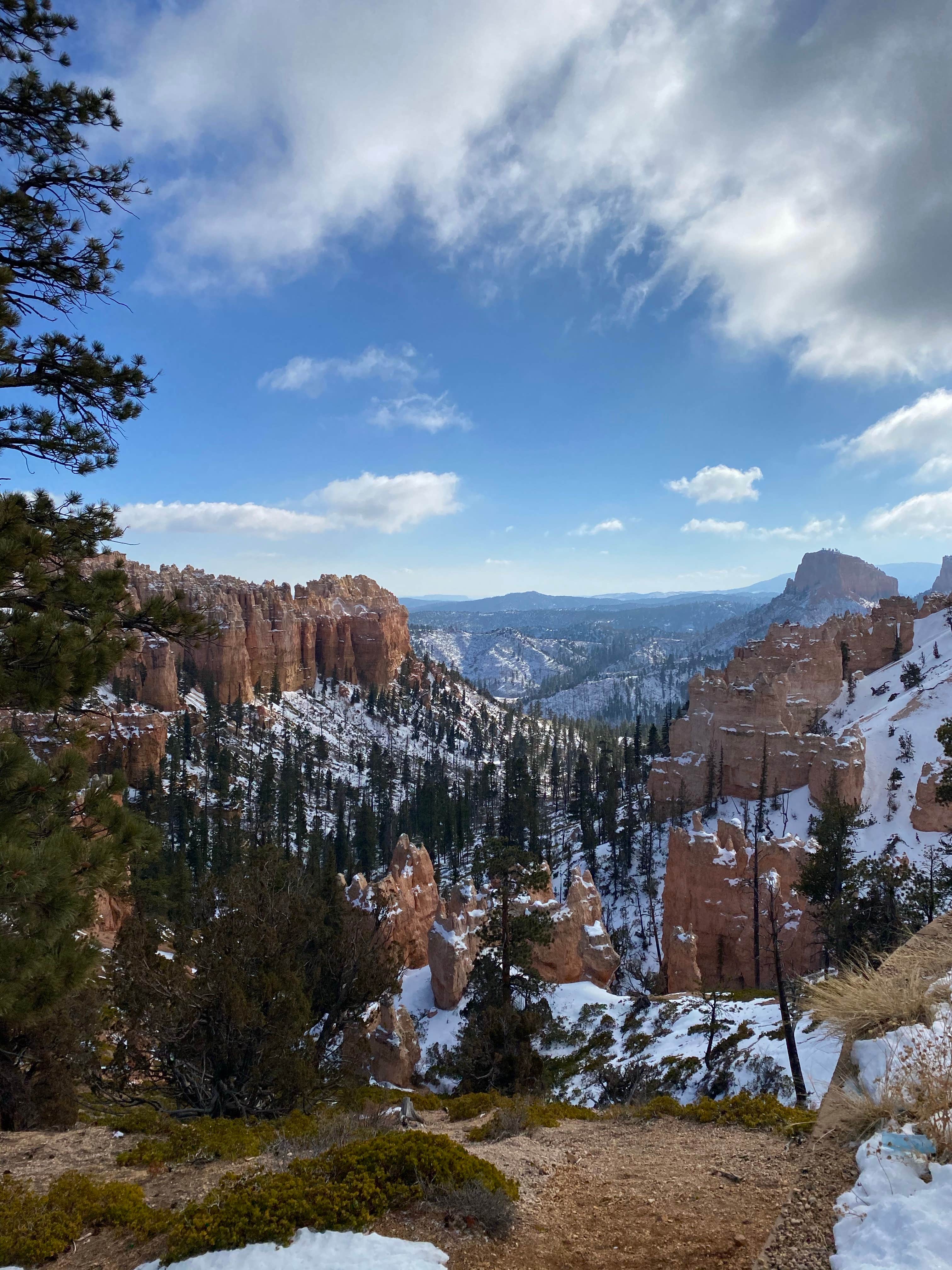 Tom Best Spring Road FR117 Dispersed - Dixie National Forest