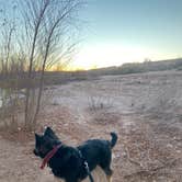 Review photo of Stewart’s Point Dispersed Camping — Lake Mead National Recreation Area by Morgan D., January 13, 2021