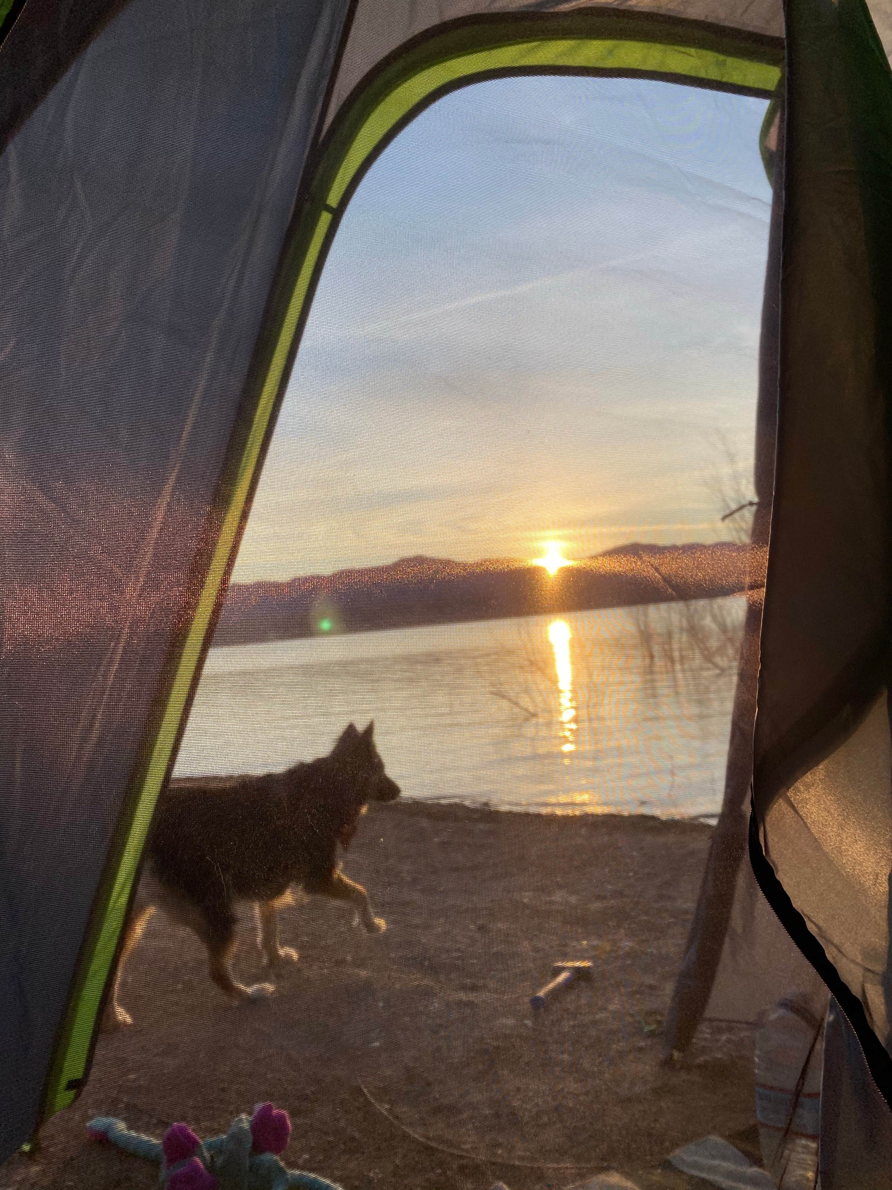 Camper submitted image from Stewart’s Point Dispersed Camping — Lake Mead National Recreation Area - 4