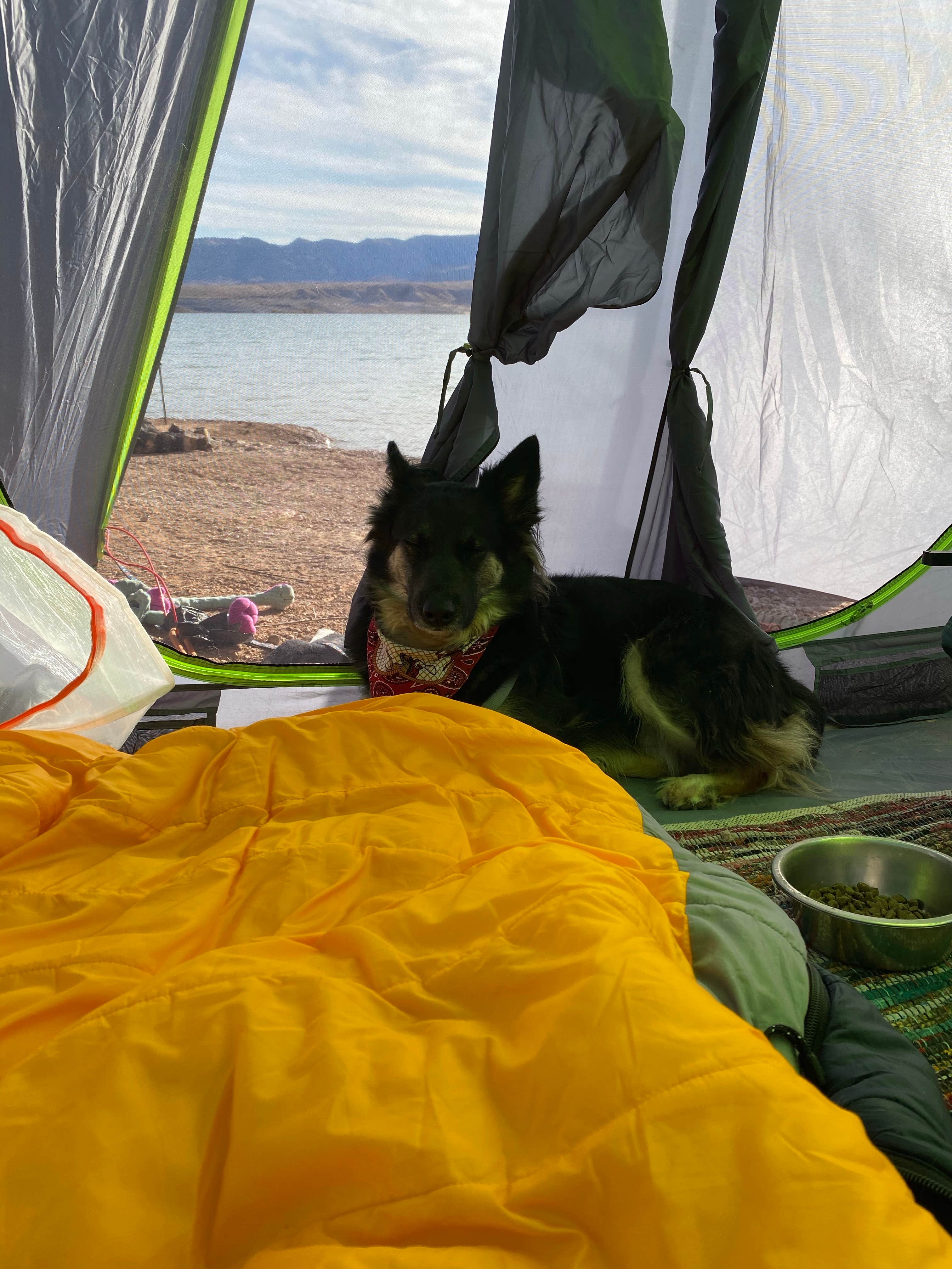 Camper-submitted photo at Stewart’s Point Dispersed Camping — Lake Mead National Recreation Area near Bunkerville, NV