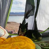 Review photo of Stewart’s Point Dispersed Camping — Lake Mead National Recreation Area by Morgan D., January 13, 2021