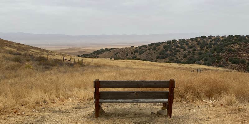 Camper submitted image from Selby Campground