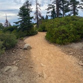 Review photo of Eagle Point Campground — Emerald Bay State Park by Morgan D., January 13, 2021