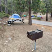 Review photo of Eagle Point Campground — Emerald Bay State Park by Morgan D., January 13, 2021