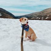 Review photo of Kite Lake by Rene E., January 13, 2021