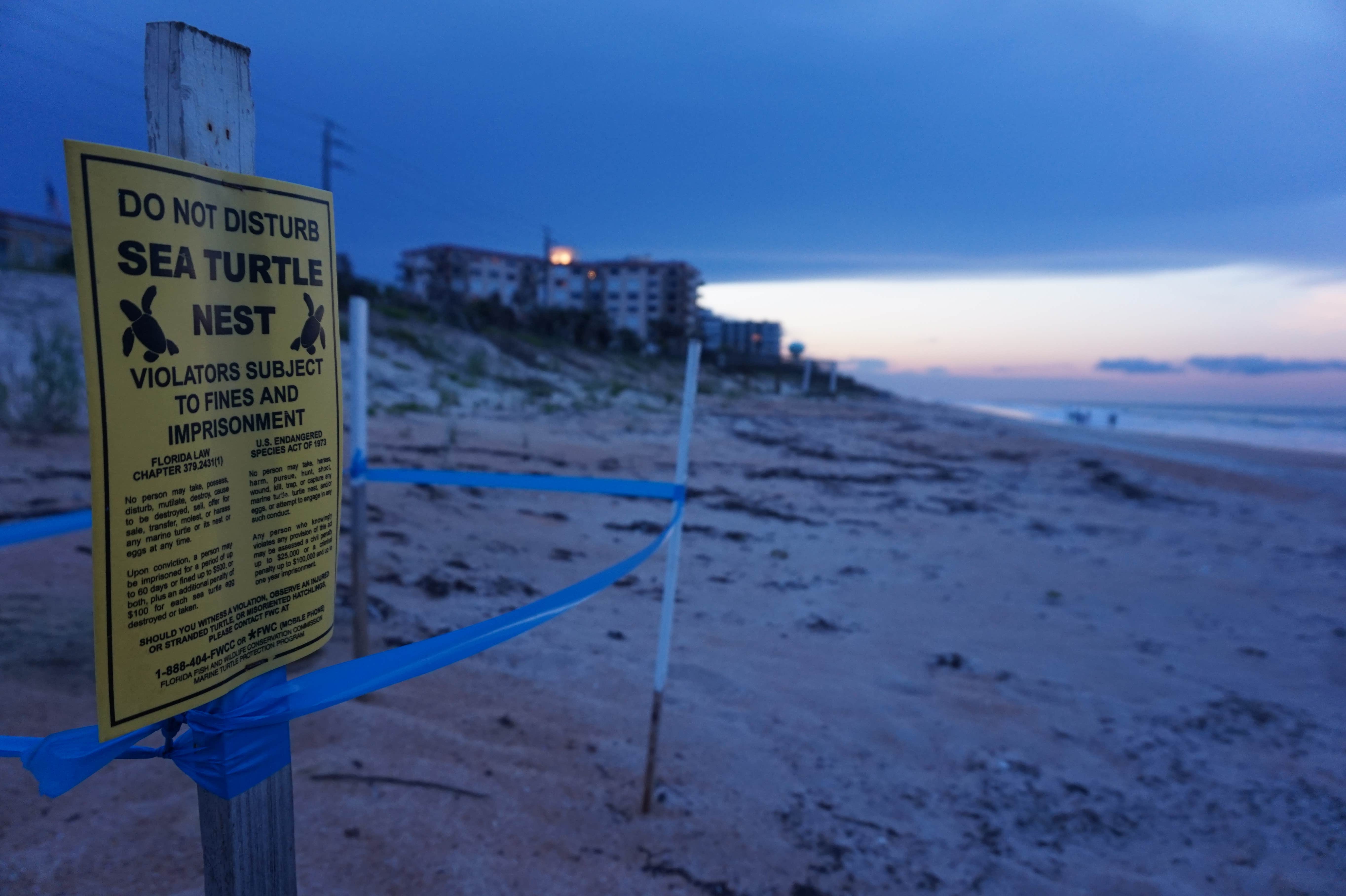 Camper submitted image from Riverside Camping — Gamble Rogers Memorial State Recreation Area at Flagler Beach - 1