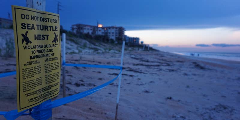 Camper submitted image from Riverside Camping — Gamble Rogers Memorial State Recreation Area at Flagler Beach
