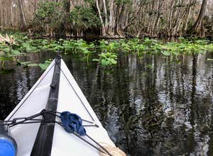 Silver Springs State Park Campground