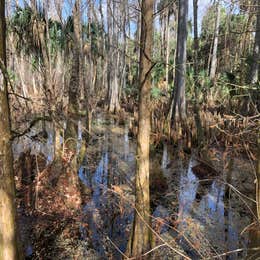 Silver Springs State Park Campground