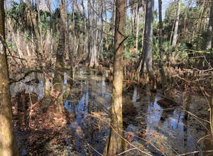 Silver Springs State Park Campground