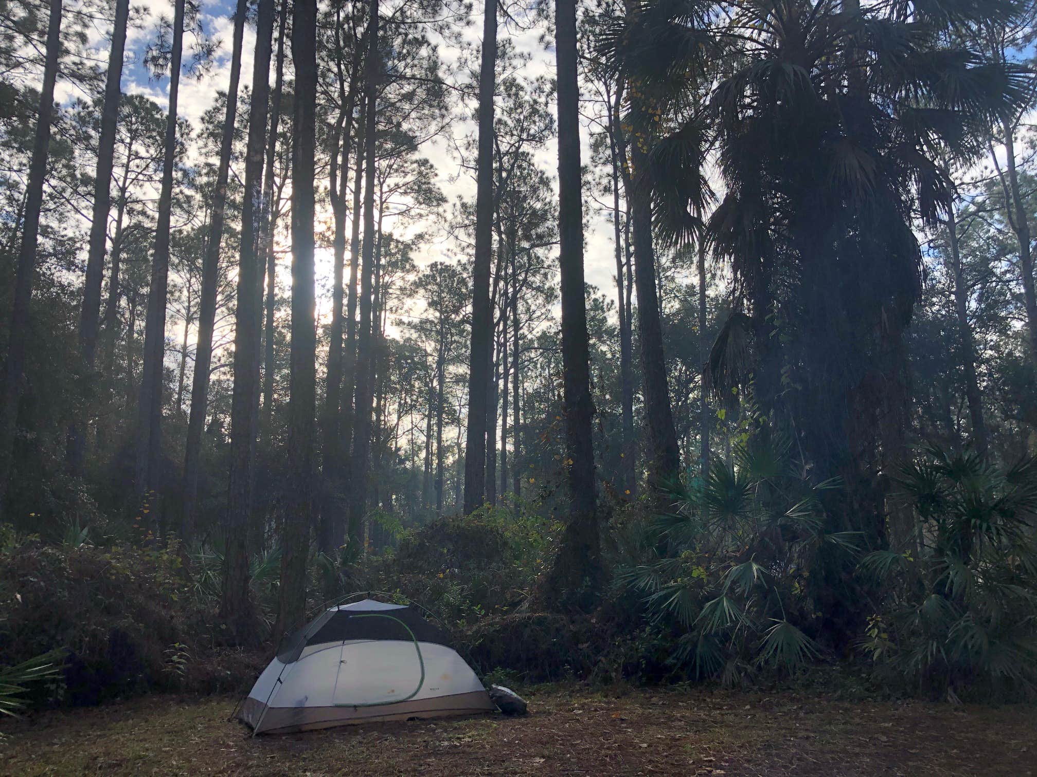 Dan X.'s photo at Rodman Campground near Georgetown, FL