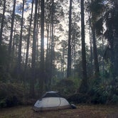 Review photo of Rodman Campground by Dan X., January 5, 2021