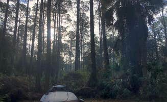 Dan X.'s photo at Rodman Campground near Pomona Park, FL