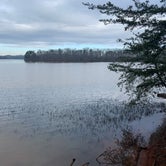 Review photo of Badin Lake Campground by Michael W., January 13, 2021