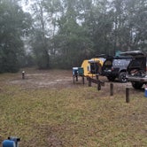 Review photo of Mutual Mine - Withlacoochee State Forest by Kingdom overland , January 14, 2021