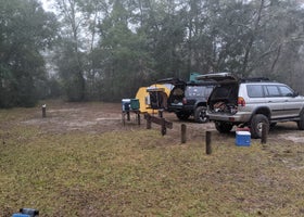 Mutual Mine - Withlacoochee State Forest