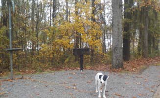 Sarah C.'s photo of camping with pets at Gunter Hill near Stanton, AL