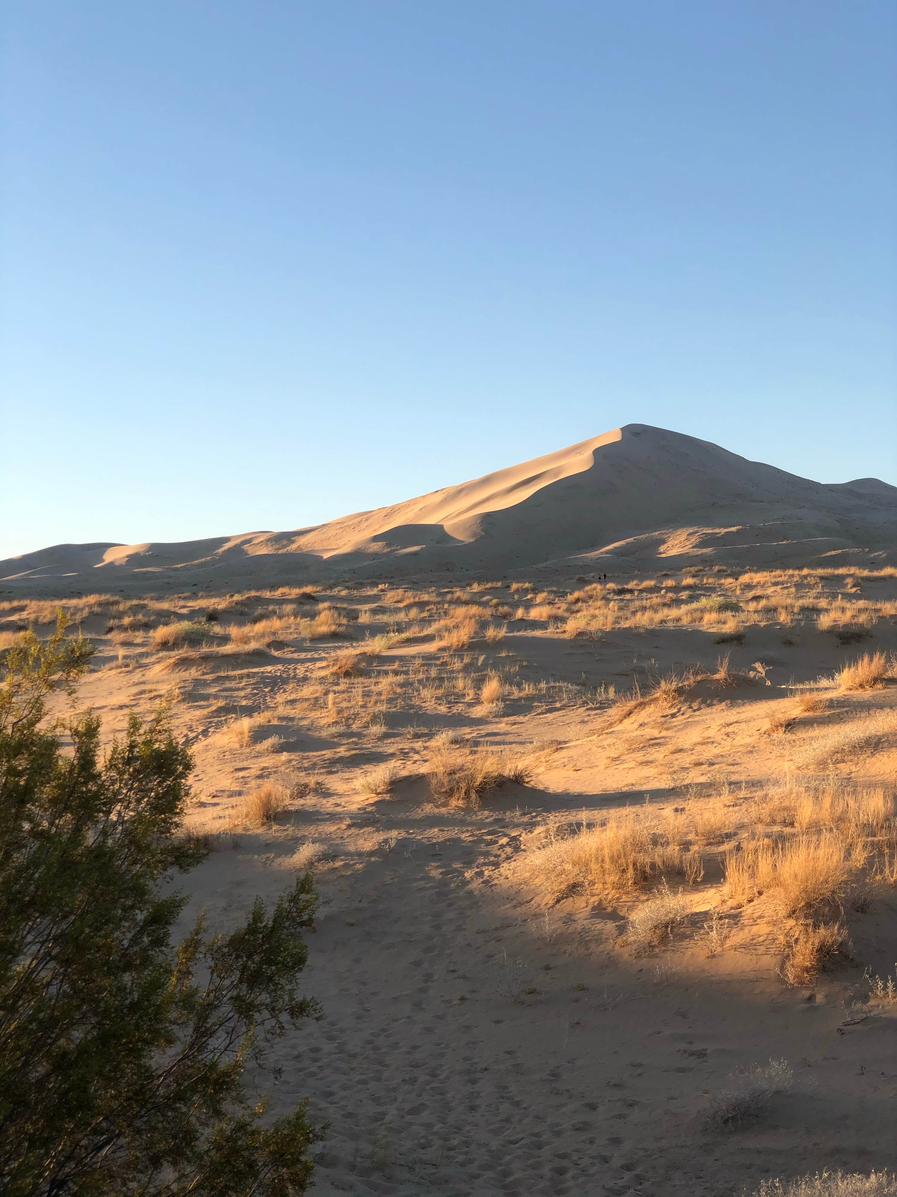 Camper-submitted photo at Kelso Dunes Dispersed — Mojave National Preserve near Baker, CA