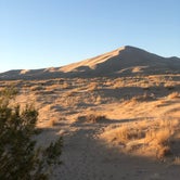 Review photo of Kelso Dunes Dispersed — Mojave National Preserve by Lex S., January 14, 2021