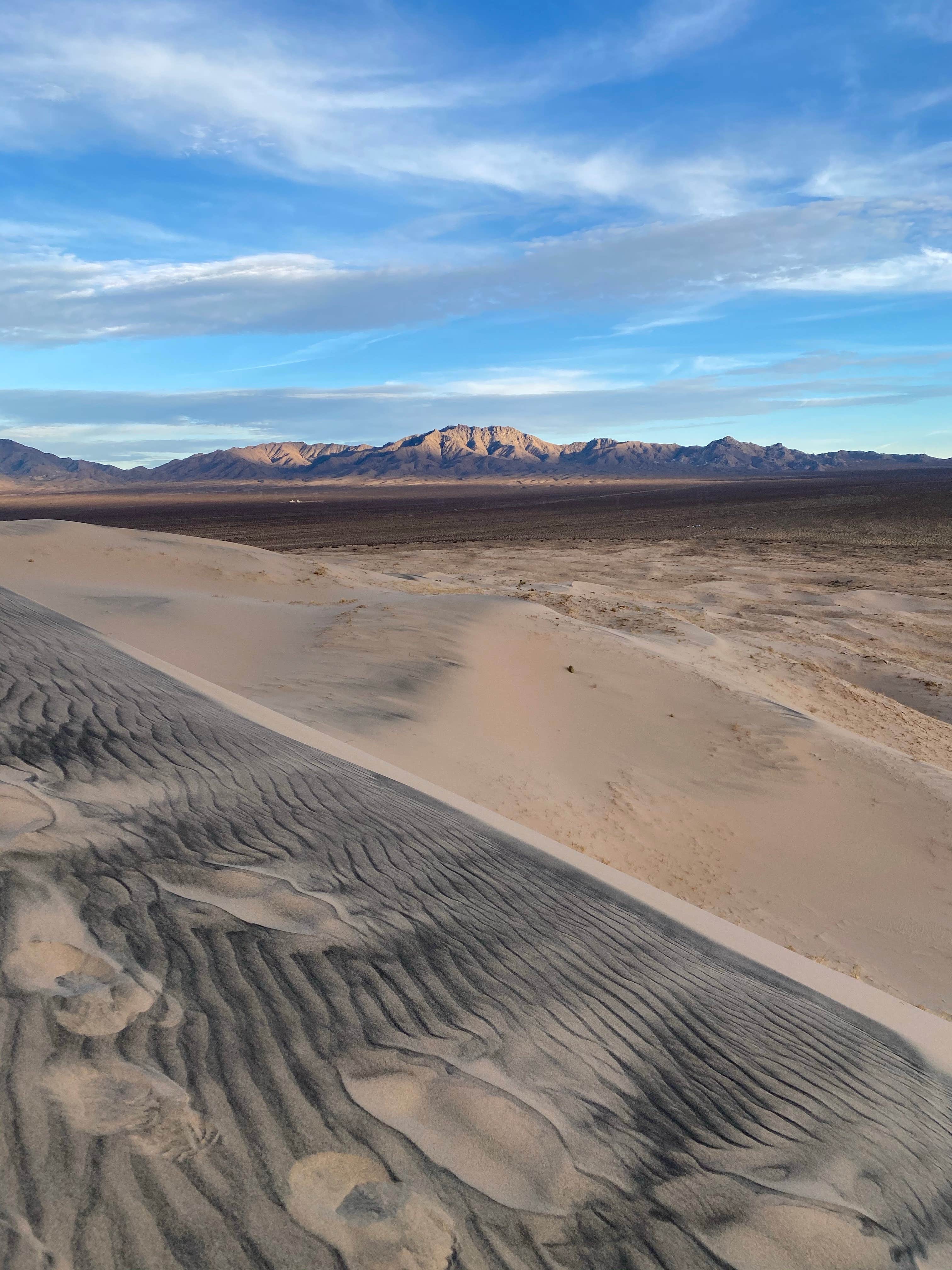 Camper submitted image from Kelso Dunes Dispersed — Mojave National Preserve - 1