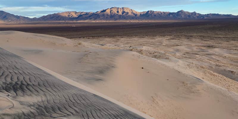 Camper submitted image from Kelso Dunes Dispersed — Mojave National Preserve