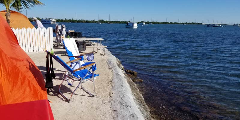 Camper submitted image from Boyd's Key West Campground