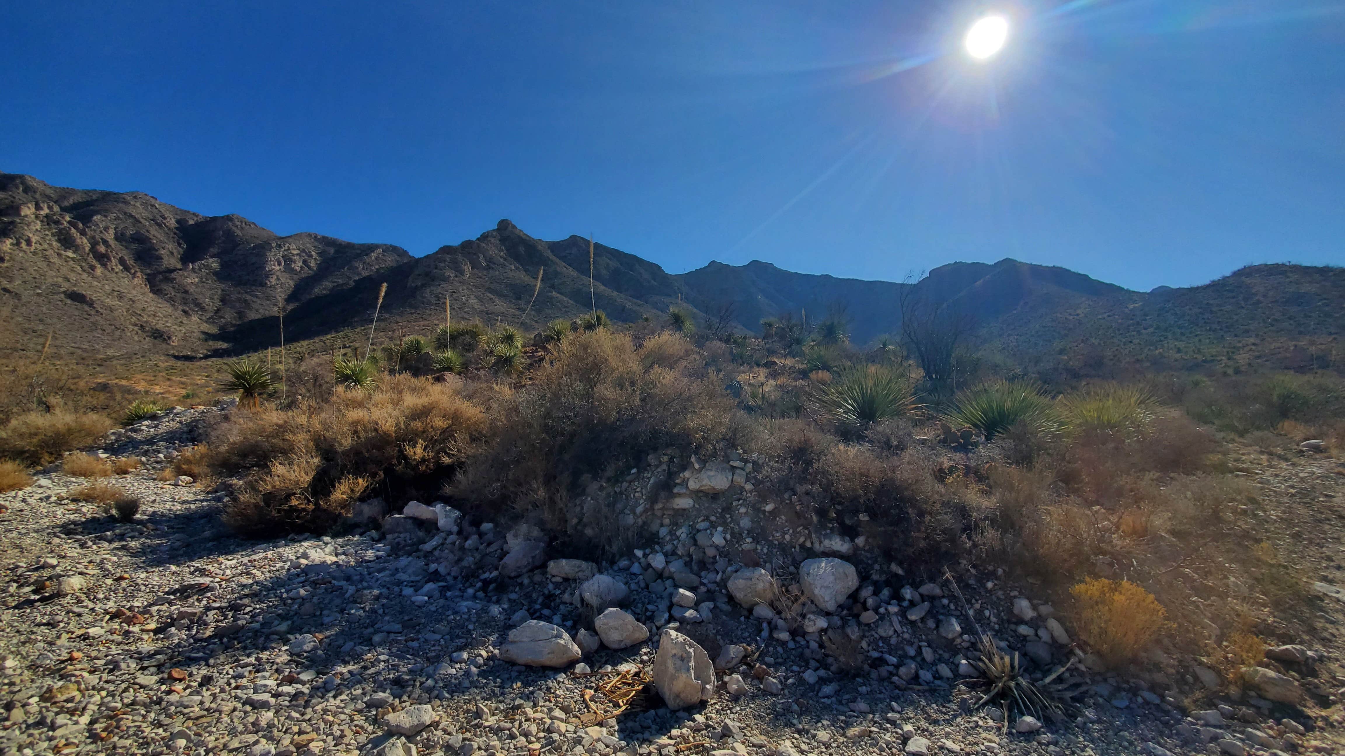 Camper submitted image from Franklin Mountains State Park Campground - 1