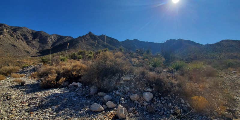Camper submitted image from Franklin Mountains State Park Campground