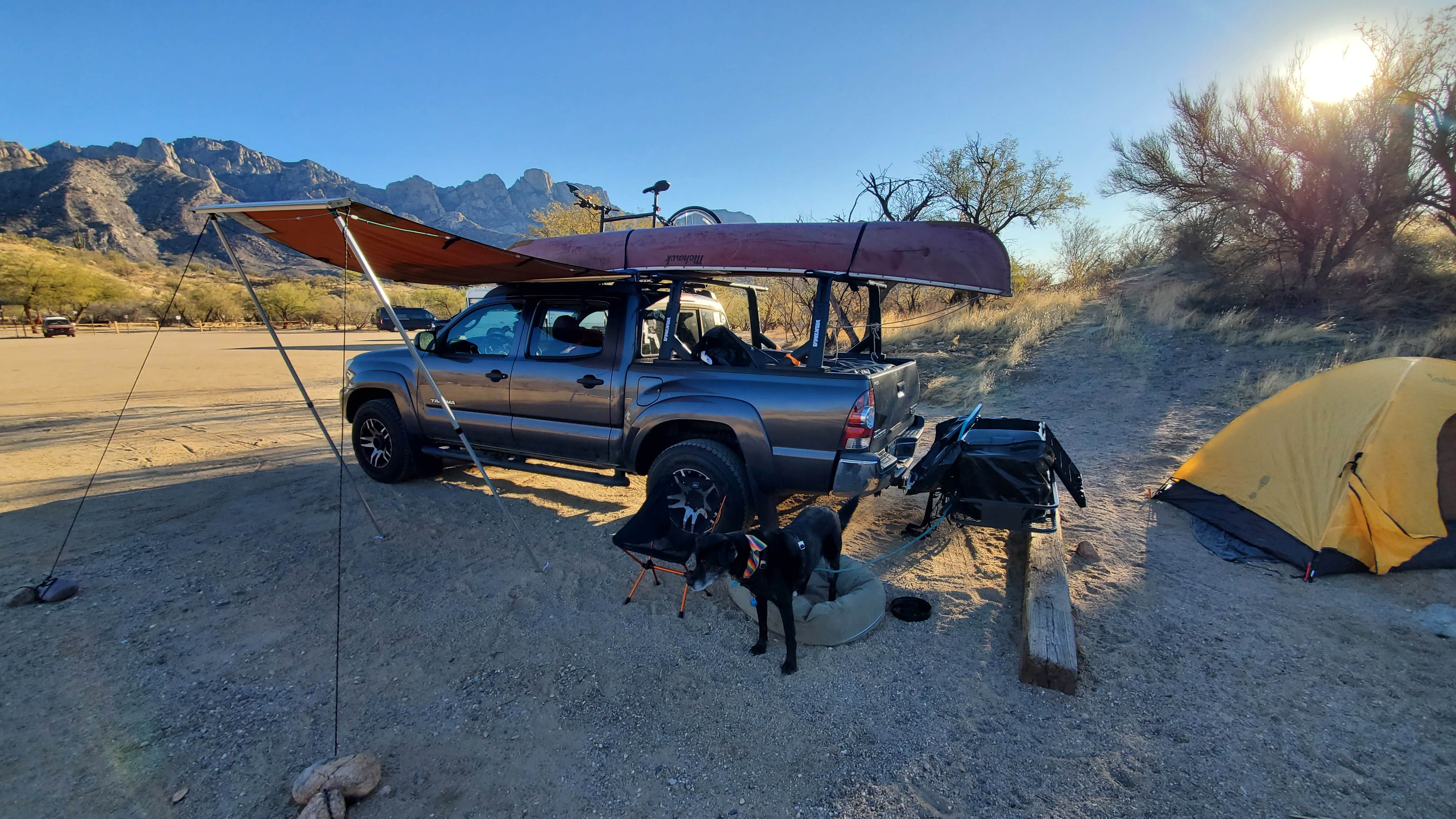 Camper-submitted photo at Catalina State Park Campground in Arizona