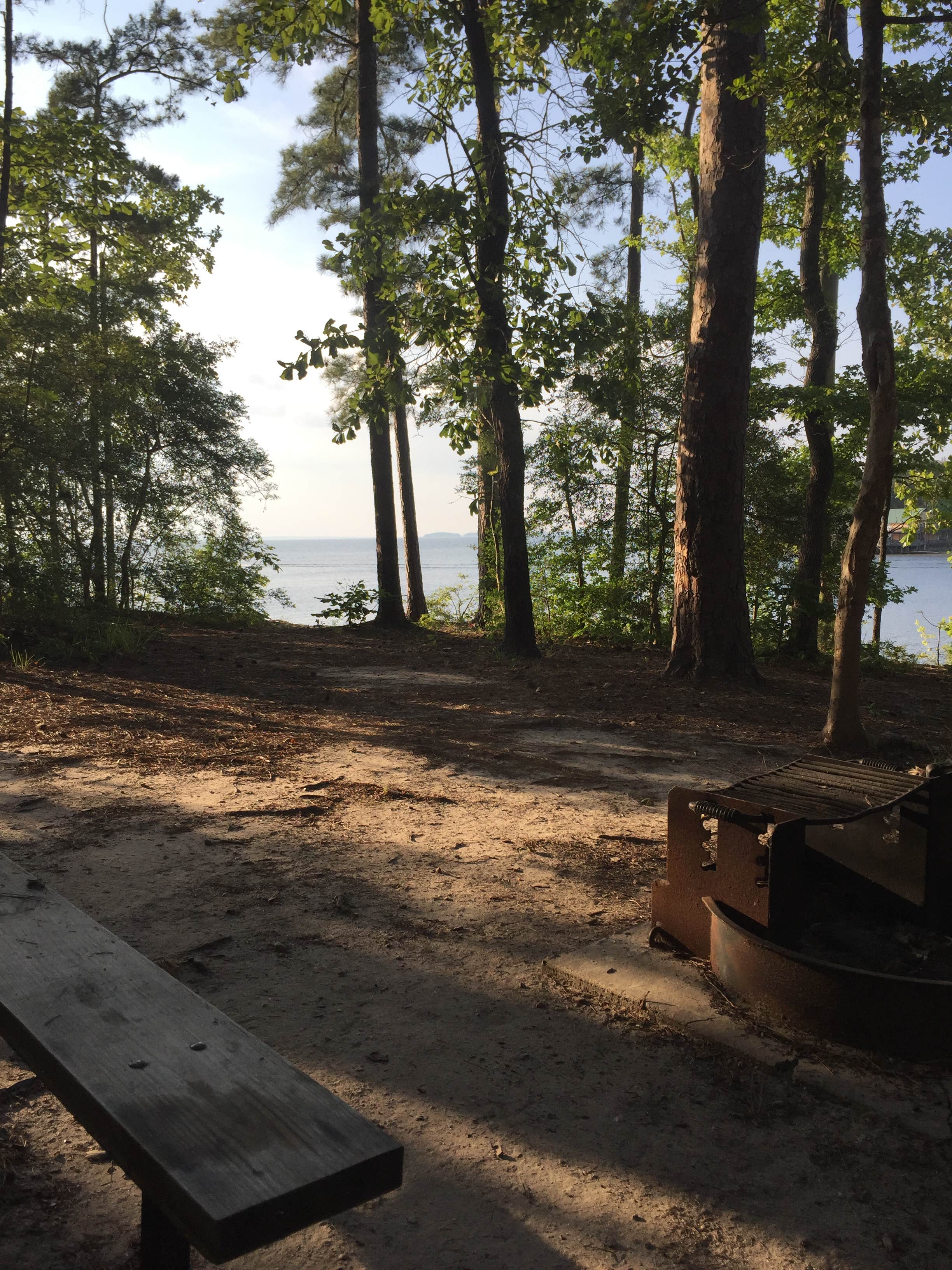 Camper submitted image from South Toledo Bend State Park Campground - 3