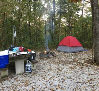 Camper-submitted photo from Richland Creek Recreation Area
