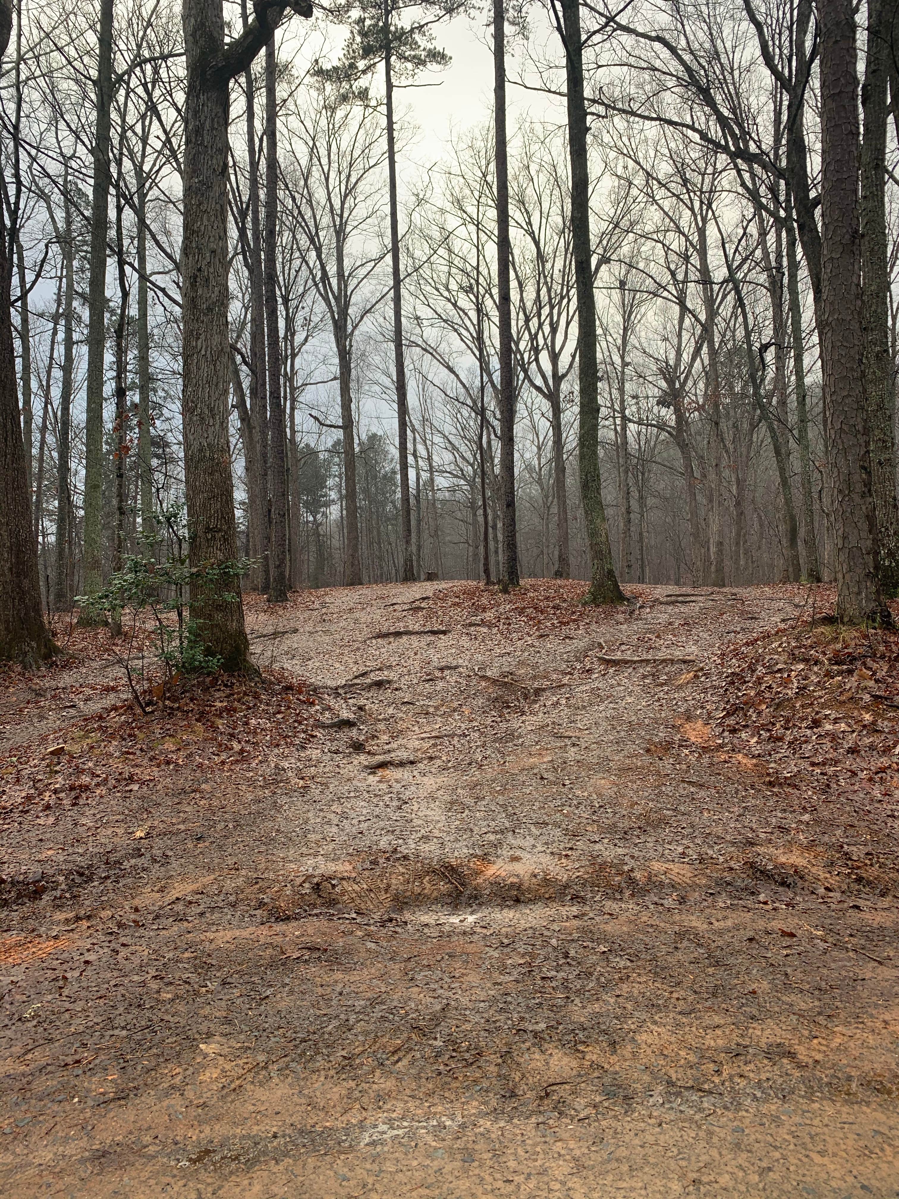 Deep Water Trail Camp