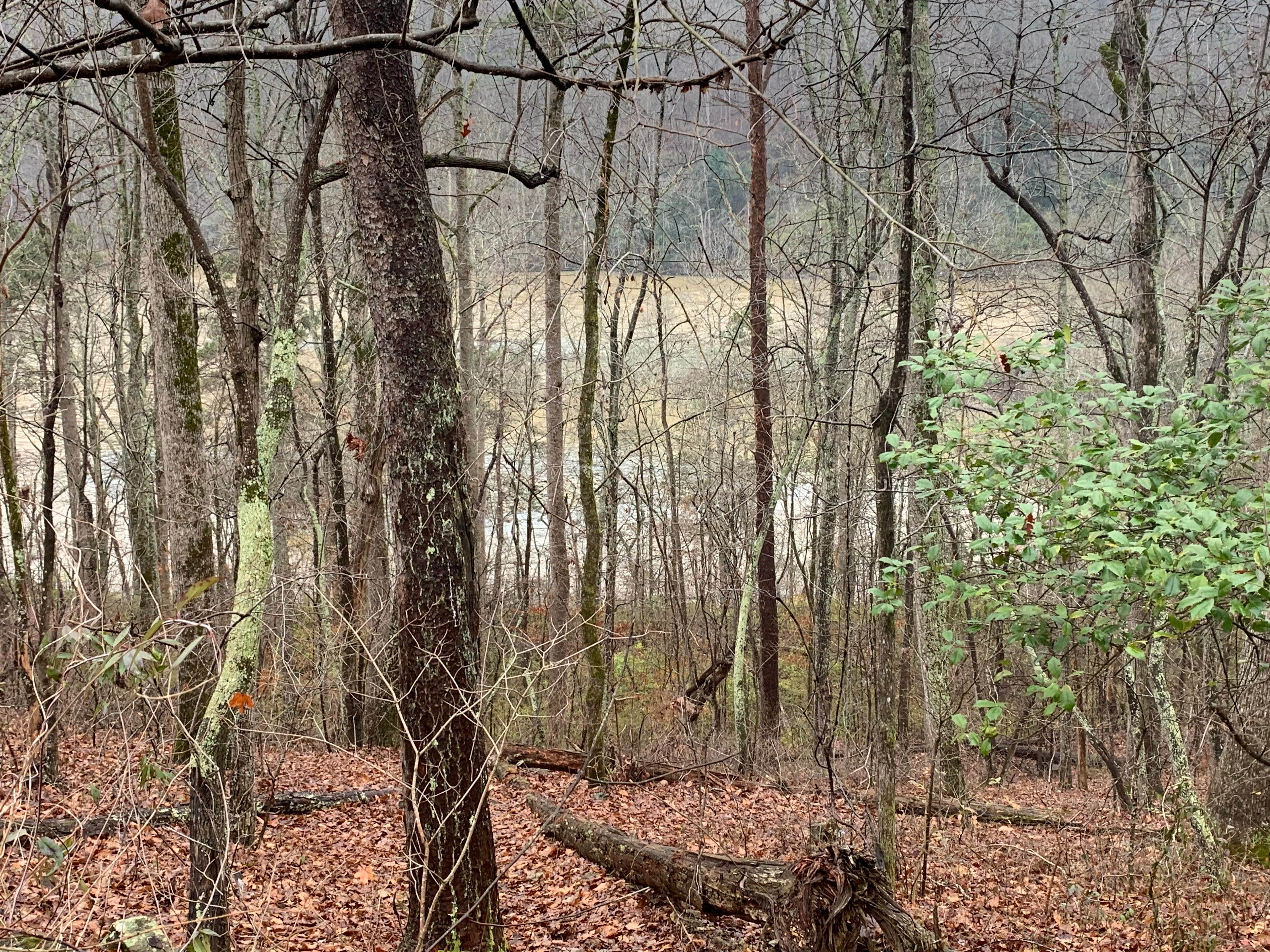 Deep Water Trail Camp