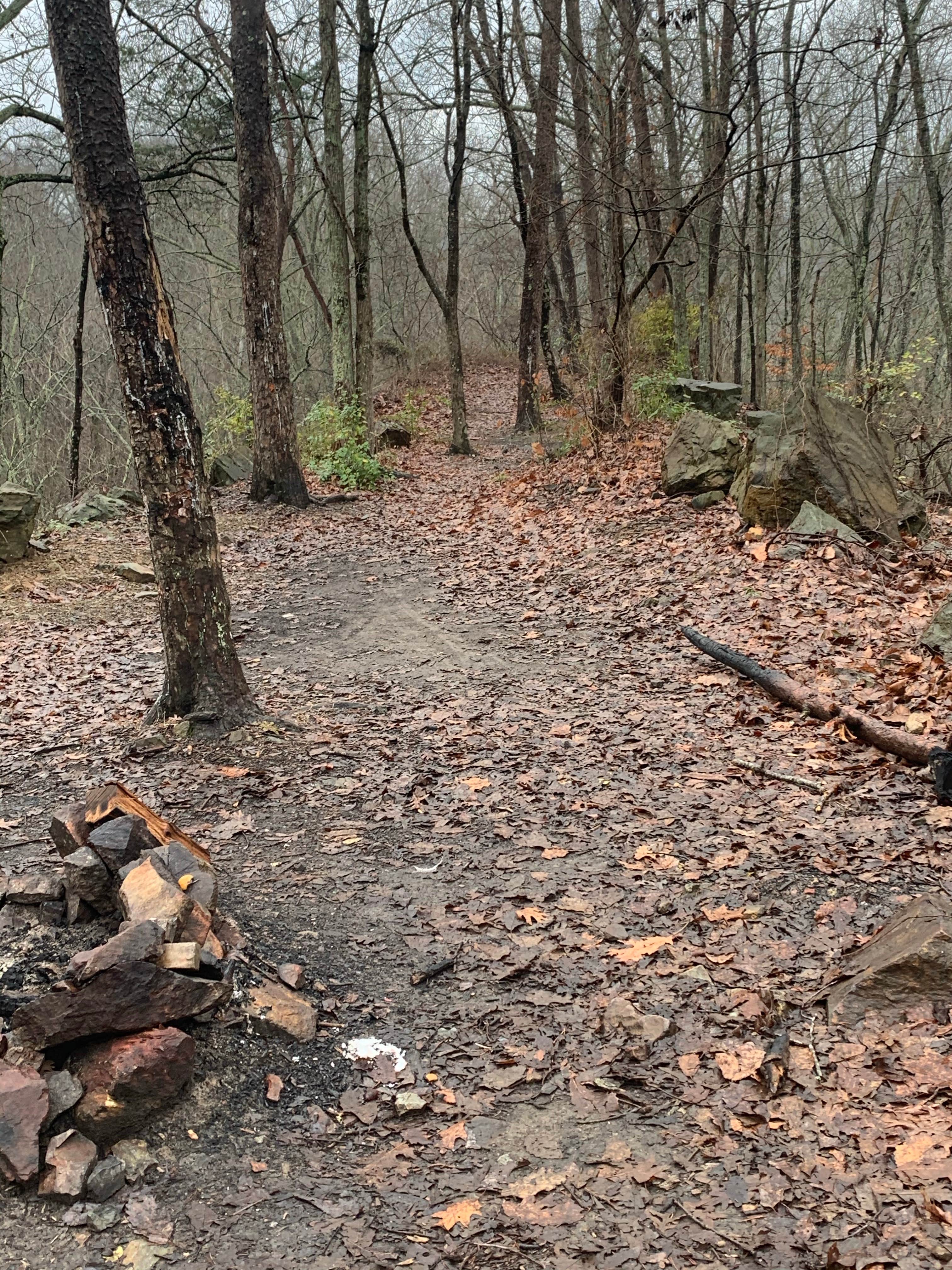 Camper-submitted photo at Deep Water Trail Camp near Albemarle, NC