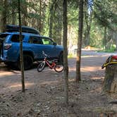 Review photo of Trapper Creek Campground by Molly B., January 15, 2021