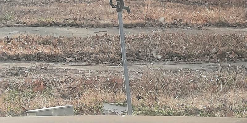 Camper submitted image from T Ricks RV Park