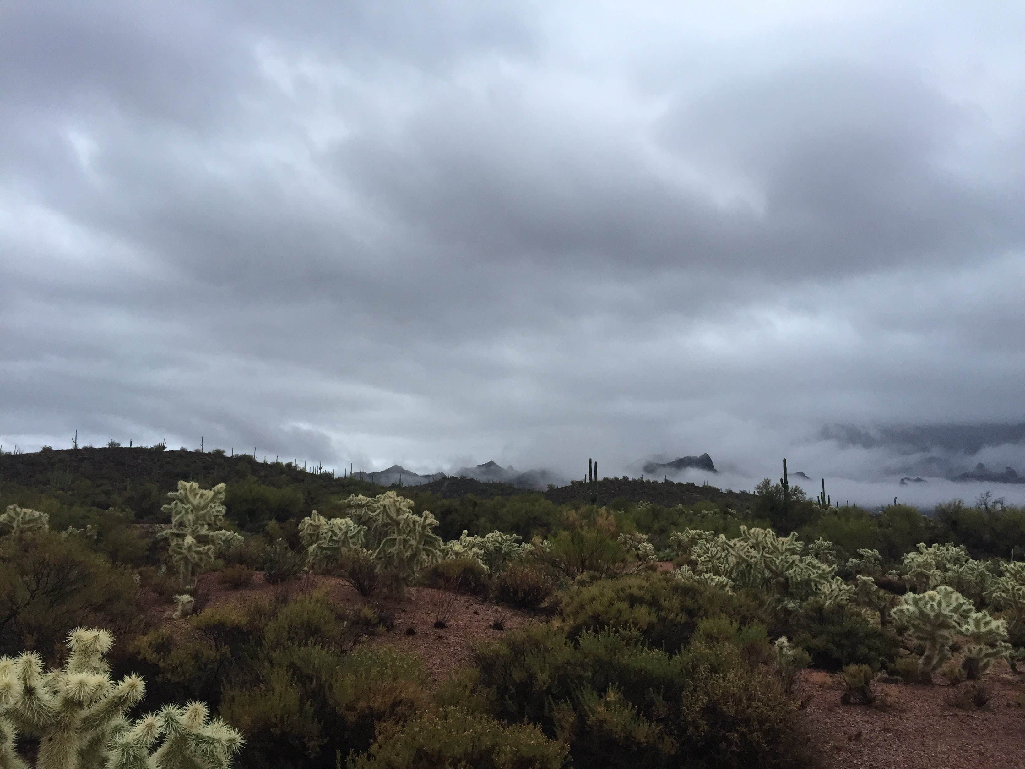 Rebecca O.'s photo of a dispersed camping area at Horse Trails Boondock near Salt River, AZ